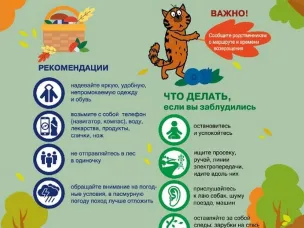 Памятка  безопасности при походе в лес